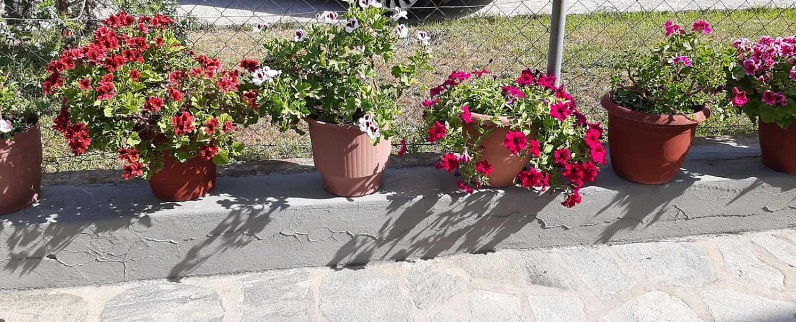 Evelyn Home Liménas Eksteriør bilde